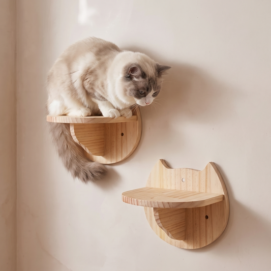 Cat Face Wall Steps, Set of 2 - cat using it