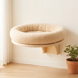 Cat Wall Bed - in a bright British living room