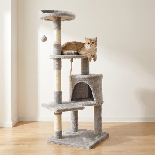Cat using the 4 tier cat climbing frame with scratching posts