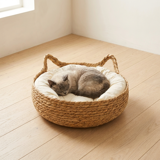 Grey cat curled asleep on the cream cushion inside the woven seagrass basket bed