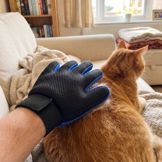 Hand in a grooming glove stroking a ginger cat on a sofa