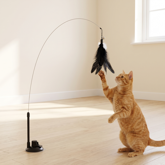 Ginger cat reaching for the feathers on a suction cup cat wand