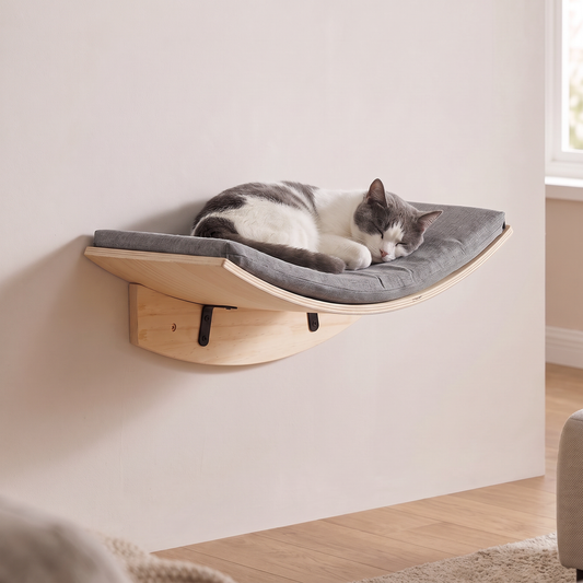 Grey and white cat asleep in a curved pale pine wall cradle with grey felt cushion