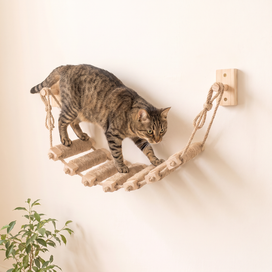 Tabby cat stepping across a short sisal cat rope bridge on a cream wall