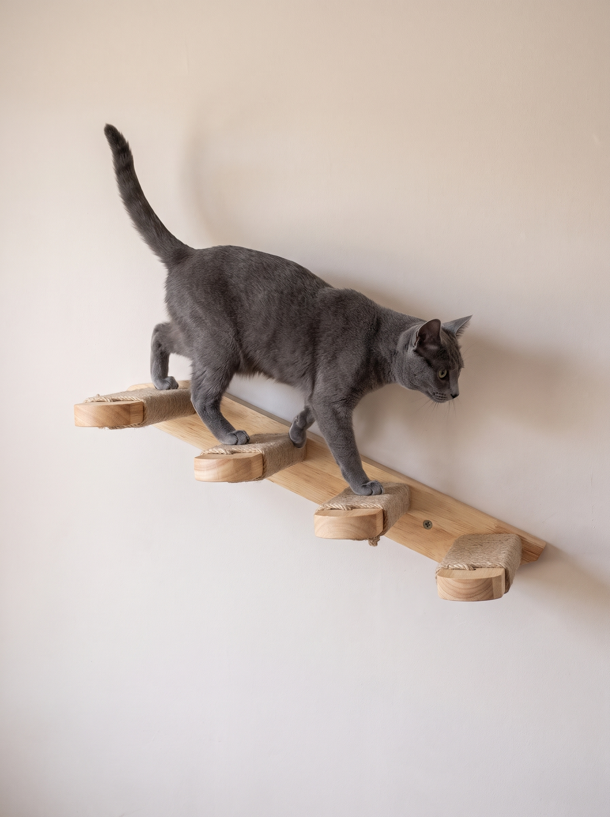 Sisal Cat Wall Bridge Steps - in use