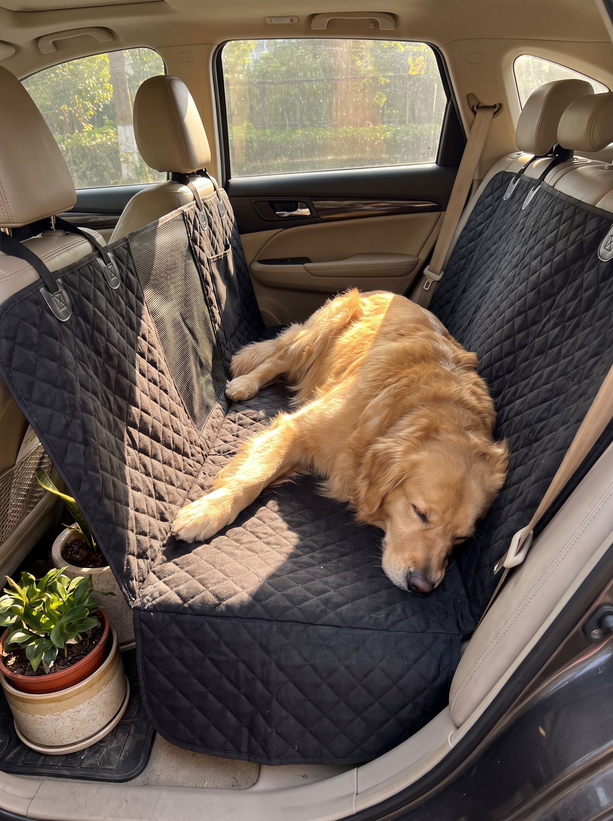 Golden retriever lying relaxed on the flat hard-bottom car seat cover