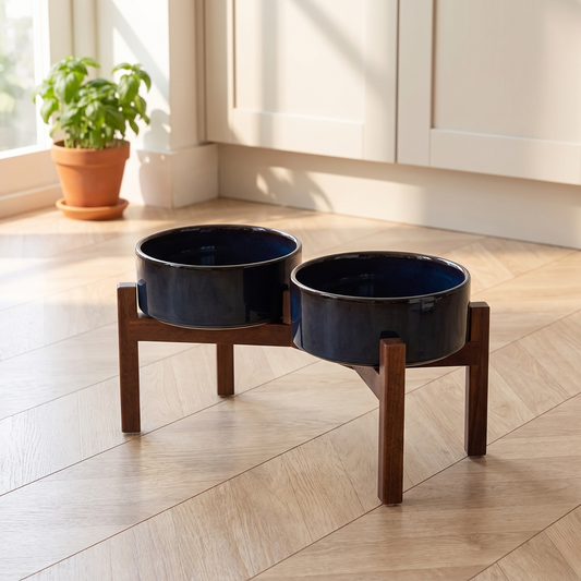 Elevated double ceramic dog bowl set on a dark walnut stand in a British kitchen