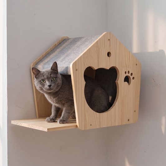 Cat Wall House with Sloped Roof - cat using it