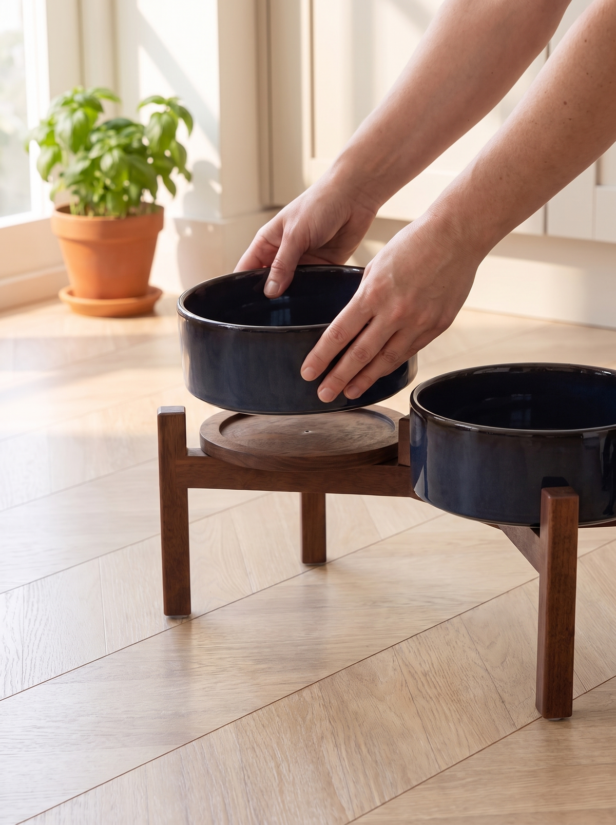 K06C Hands lifting one navy ceramic bowl out of the walnut feeding stand