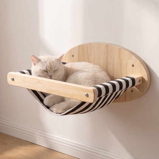 S3 British Shorthair cat asleep in the striped cat wall hammock