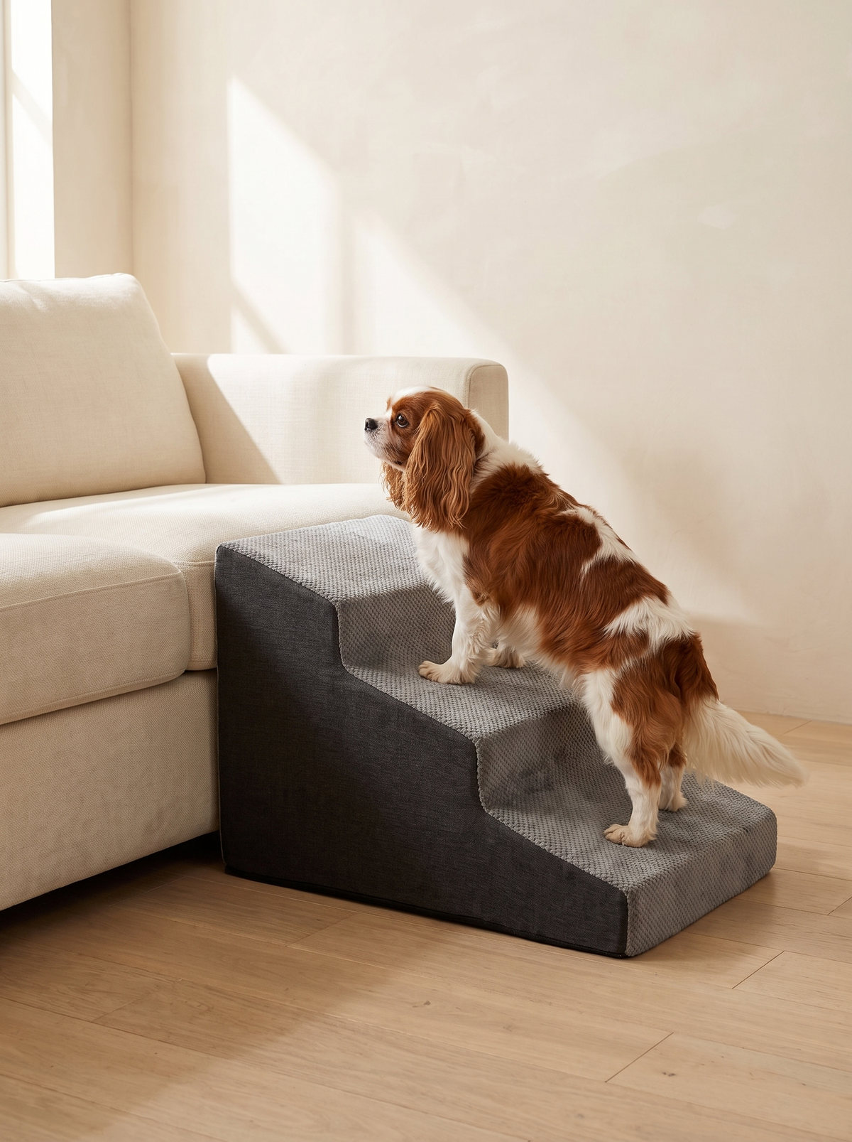 Small dog climbing the 3 step pet stairs to the sofa