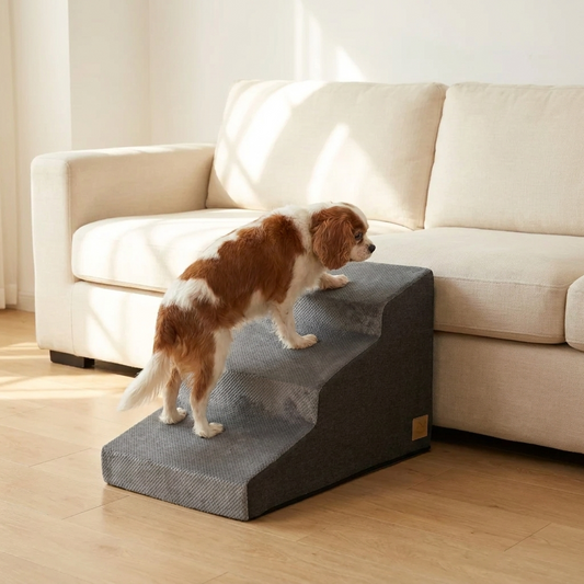 Small dog climbing the non slip pet stairs to the sofa