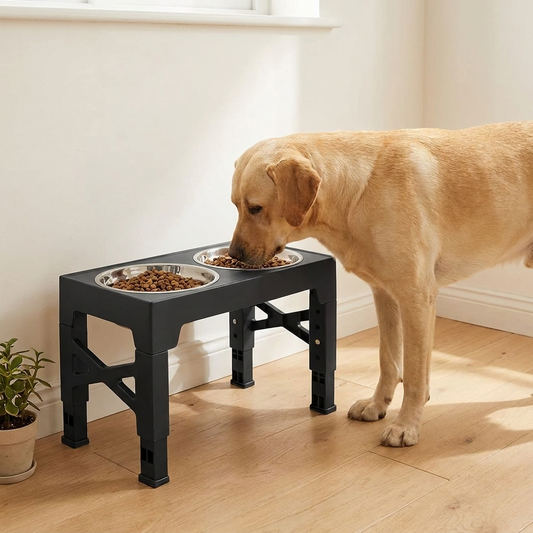 Labrador eating from the raised feeding station at a comfortable neck height