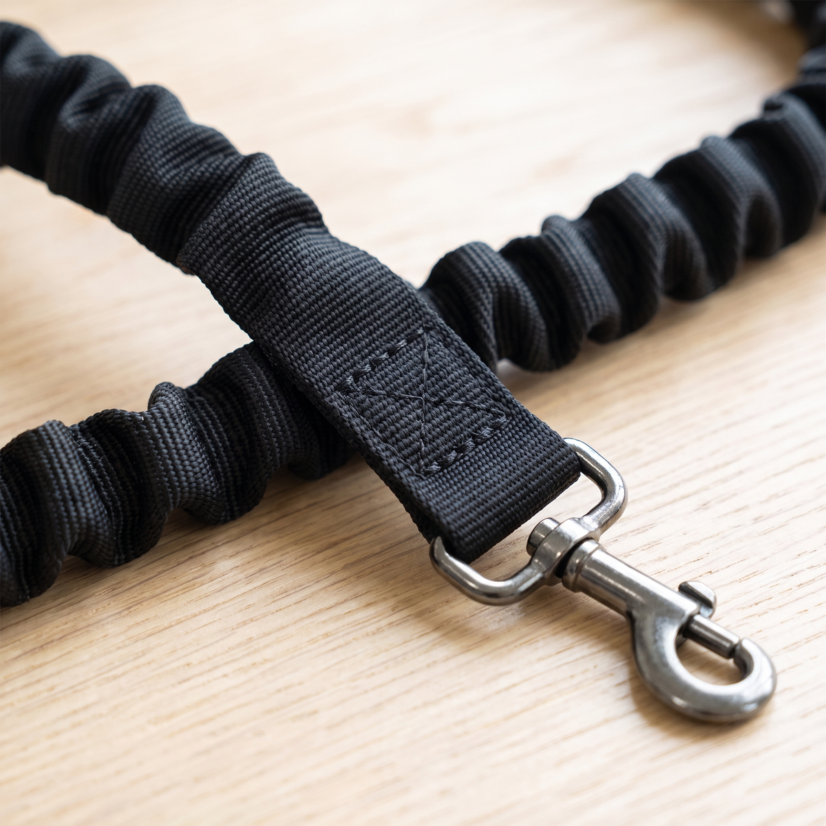 Close-up of the black bungee lead webbing and metal trigger clip