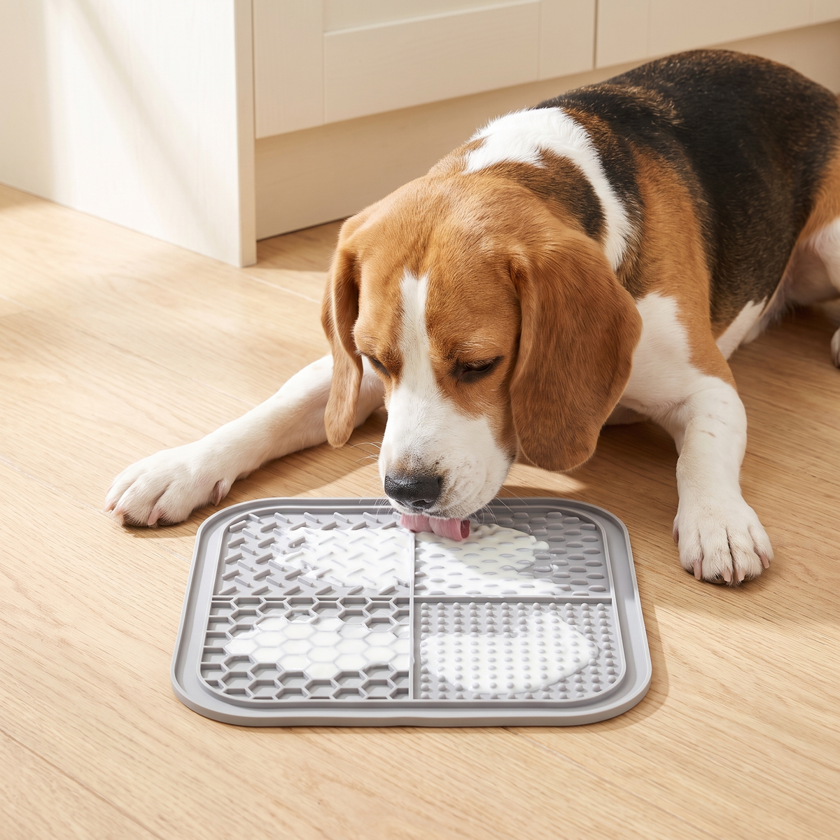 Beagle licking yoghurt from a grey silicone lick mat with four textures on an oak kitchen floor