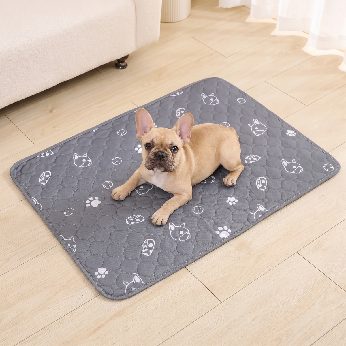 French bulldog puppy lying on the grey washable pee pad on a living room floor