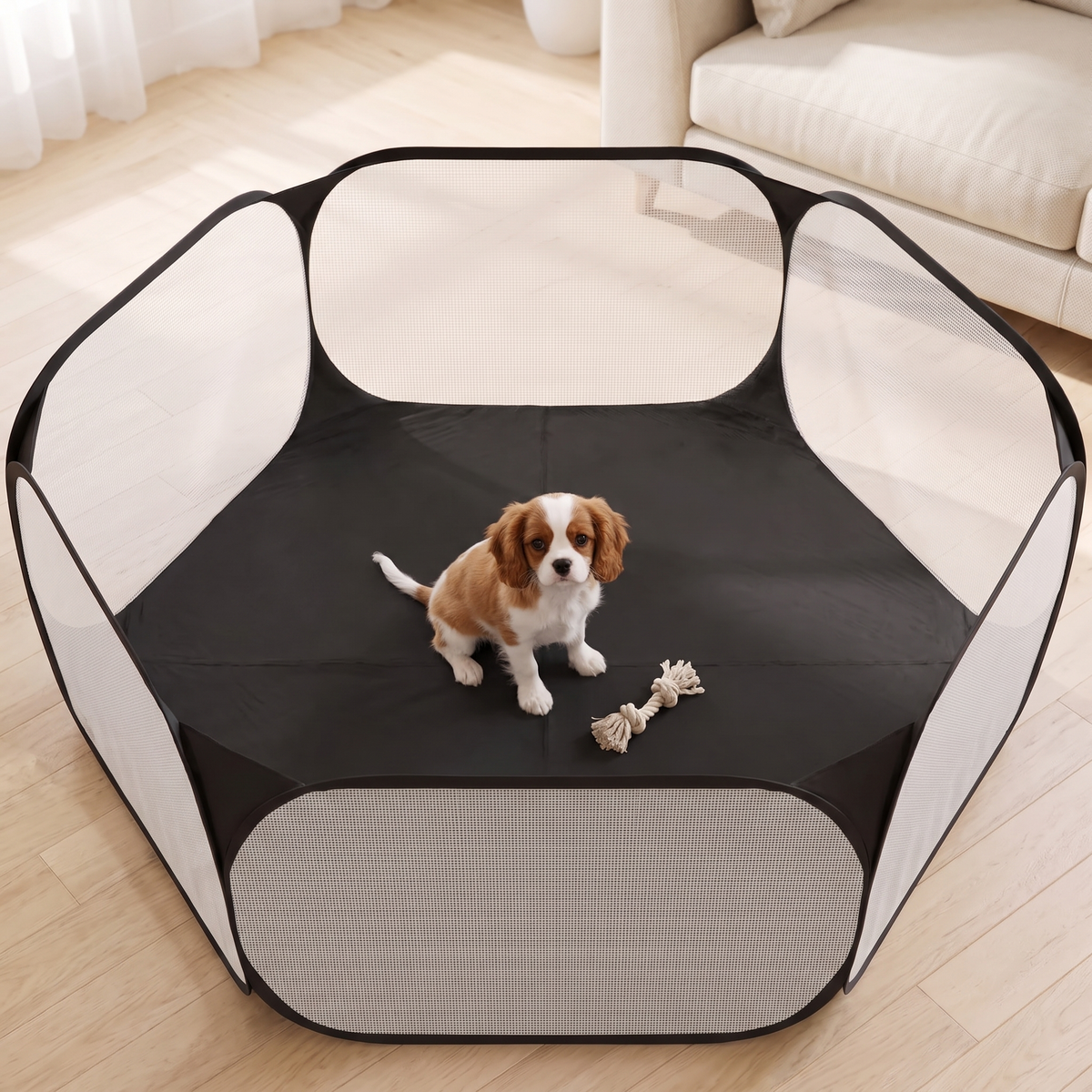 Cavalier King Charles spaniel puppy sitting inside the black pop up pet playpen