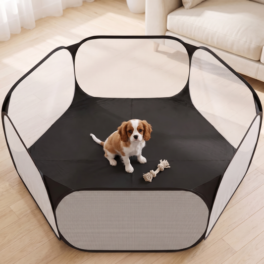 Cavalier King Charles spaniel puppy sitting inside the black pop up pet playpen