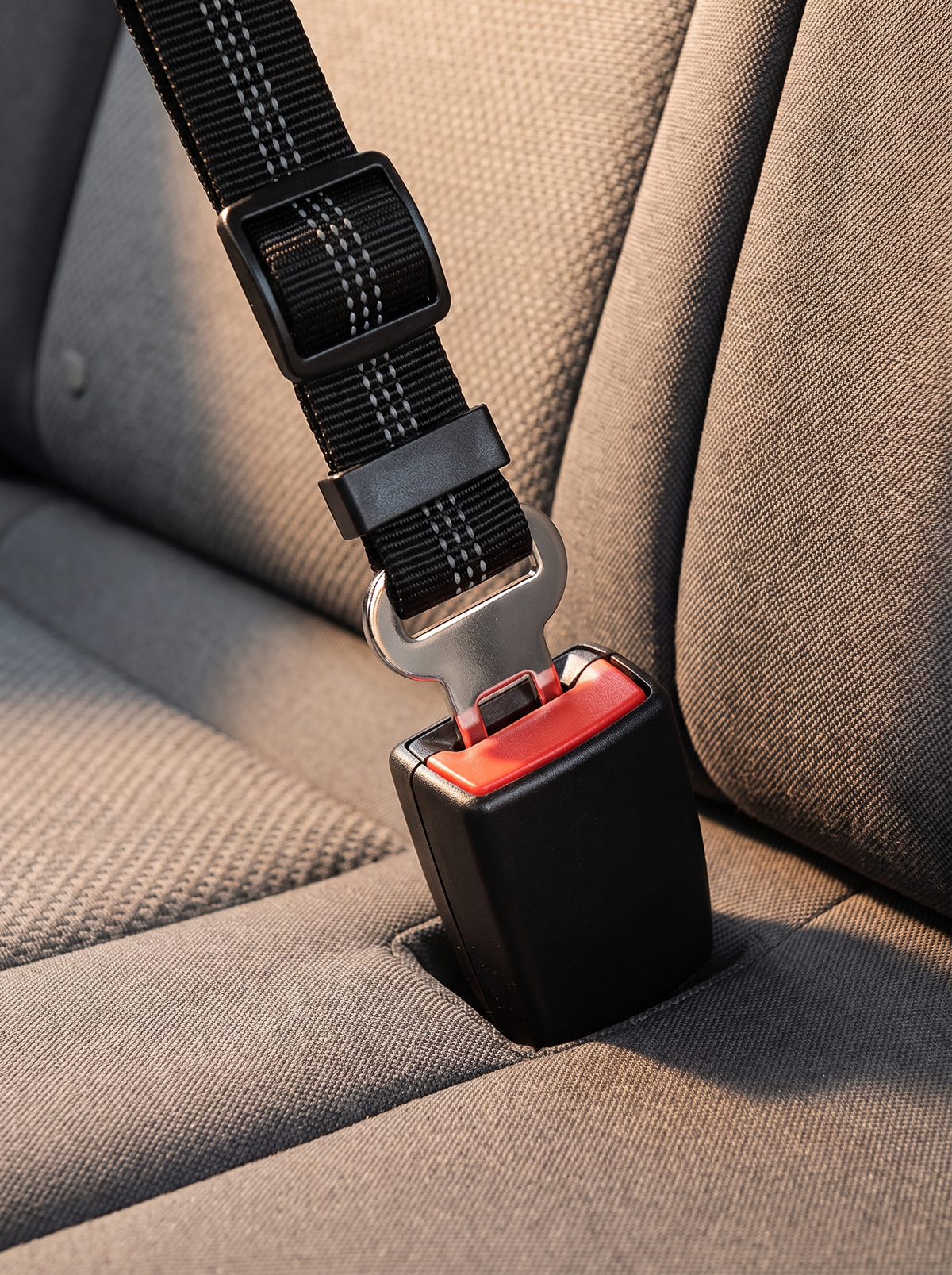 Dog seat belt tongue clicked into a car seat belt buckle