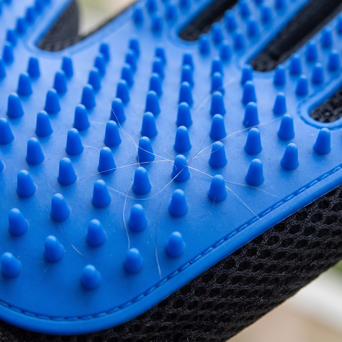 Close-up of the blue silicone nubs on a pet grooming glove holding loose hair