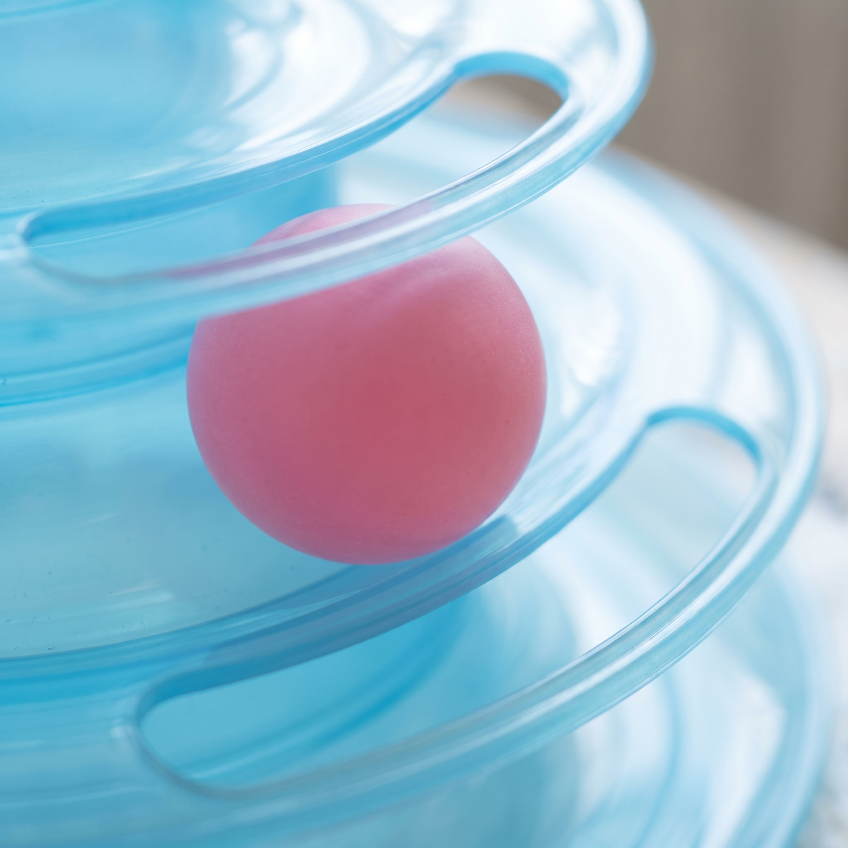 Close-up of a pink ball in the translucent blue track of a cat ball tower