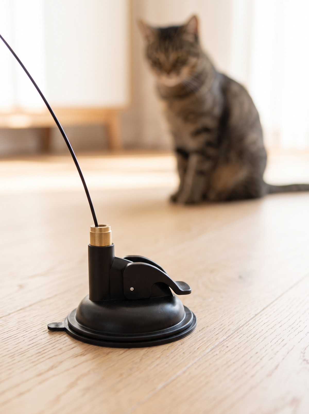 Black lever lock suction cup base of a cat feather wand toy on an oak floor