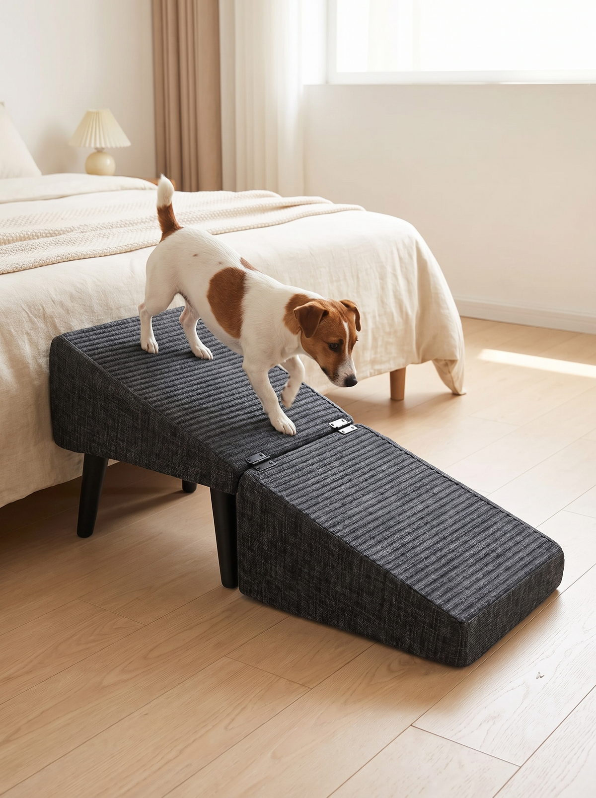 Jack Russell terrier walking down a charcoal folding dog ramp from a low bed