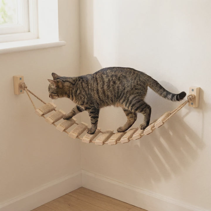 Tabby cat walking across the Castle Catalogue wooden slat and sisal cat rope bridge